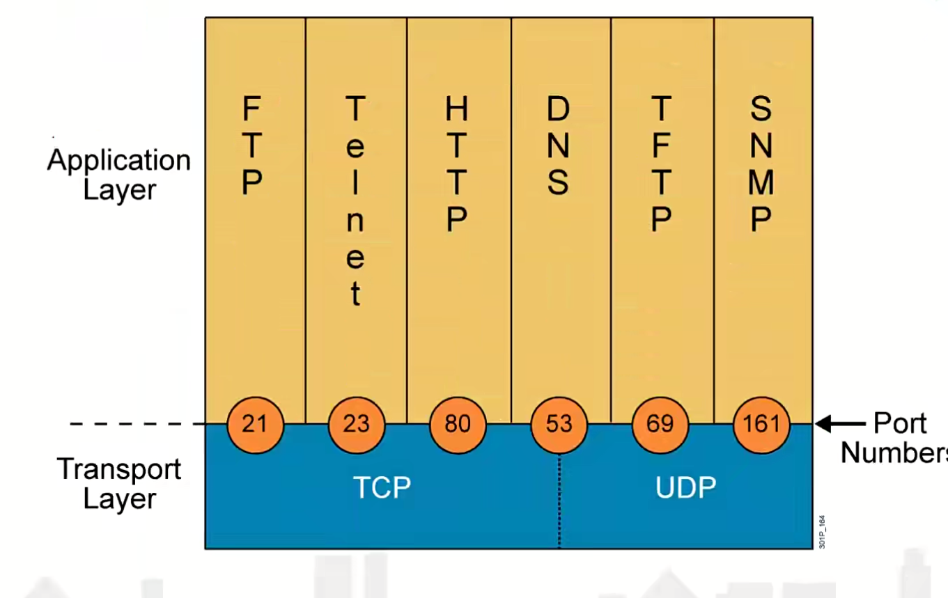 image-20230726142619292.png